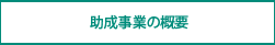 助成事業の概要