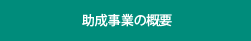 助成事業の概要